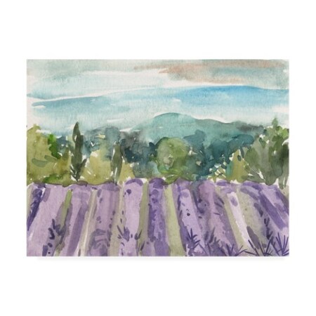 Trademark Fine Art Melissa Wang 'Watercolor Views III' Canvas Art, 35x47 WAG15654-C3547GG